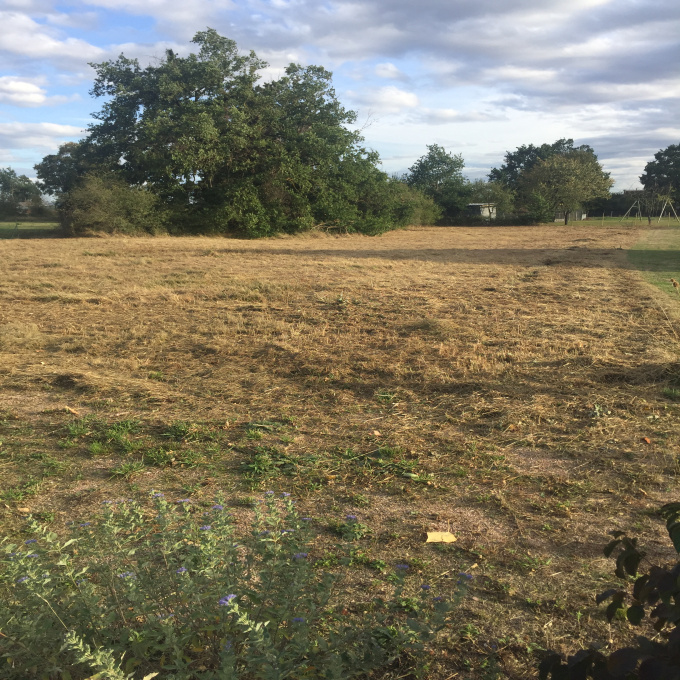 Offres de vente Terrain Montoldre (03150)